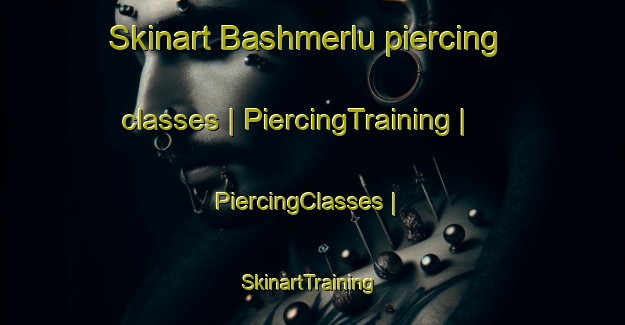 Skinart Bashmerlu piercing classes | PiercingTraining | PiercingClasses | SkinartTraining-Turkey